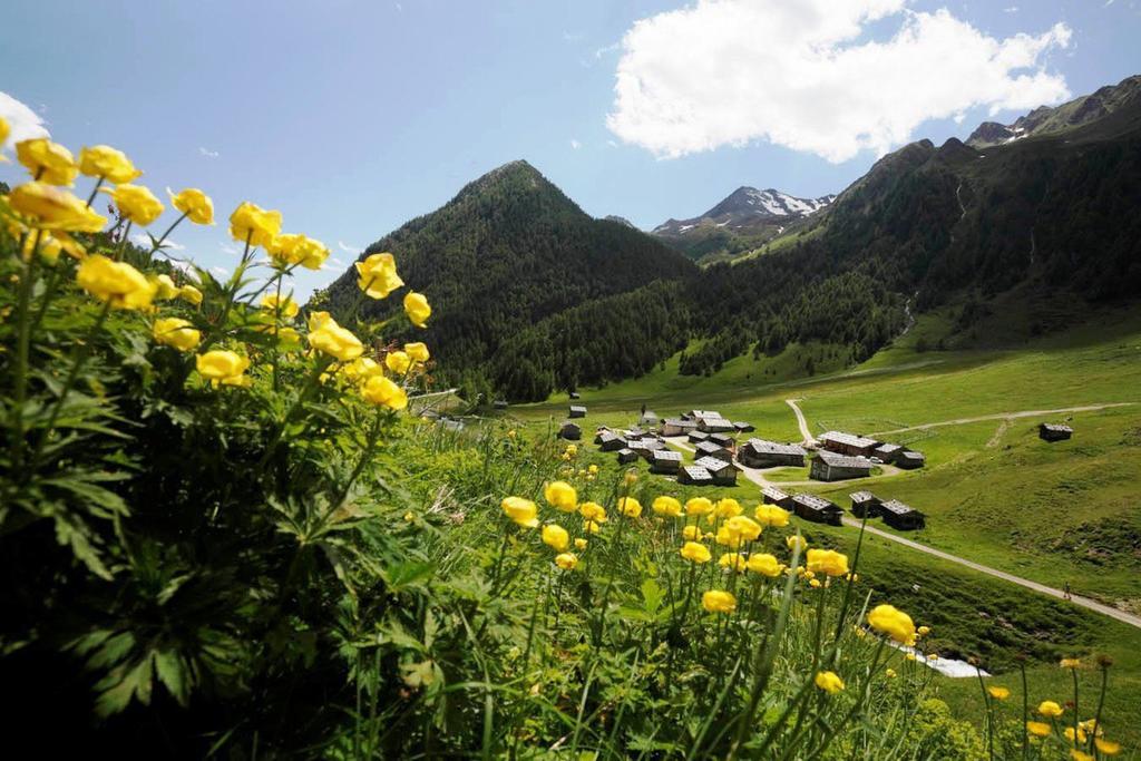 Falkensteiner Hotel & Spa Falkensteinerhof فاليس المظهر الخارجي الصورة